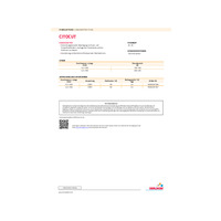 CITOCUT-de.pdf  Datenblatt