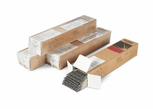 LIN様 Cosmic Creations - Renegade Immortal Wang Lin Immortal Ascension