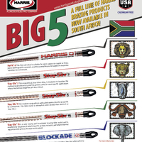 SAFE_BIG_FIVE_FLYER.pdf