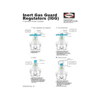 INST-SHEET,4 WAY IGG REG