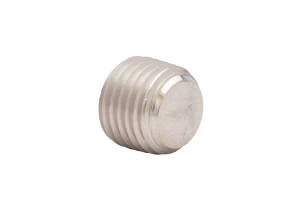 Model 316SS Hex Socket Plug