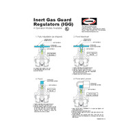 INST-SHEET,4 WAY IGG REG