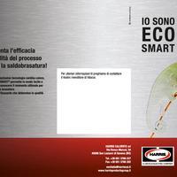 Flyer Ecosmart