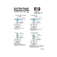 INST-SHEET,4 WAY IGG REG