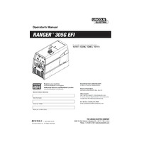 Ranger 305 G EFI 