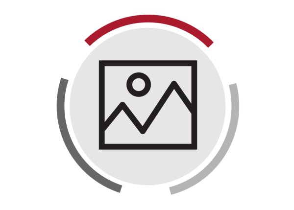 Image Icon
